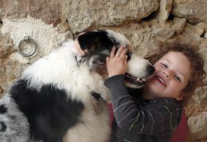 Hôtel Canin - Pension Canine de Julie Chillac Charente