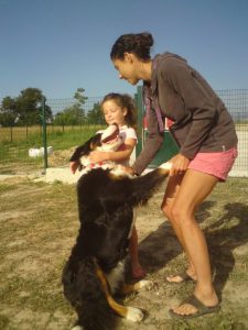 Hôtel Canin - Pension Canine de Julie Chillac Charente