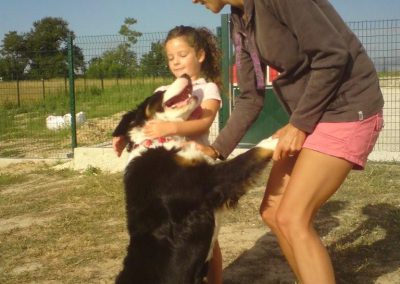 Hôtel Canin - Pension Canine de Julie Chillac Charente