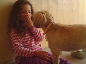 Hôtel Canin - Pension Canine de Julie Chillac Charente