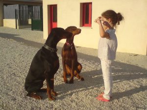 Hôtel Canin - Pension Canine de Julie Chillac Charente