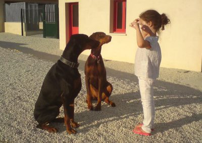 Hôtel Canin - Pension Canine de Julie Chillac Charente