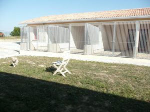 Hôtel Canin - Pension Canine de Julie Chillac Charente