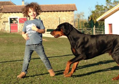 Hôtel Canin - Pension Canine de Julie Chillac Charente