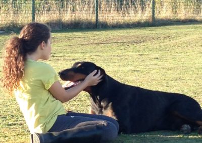 Hôtel Canin - Pension Canine de Julie Chillac Charente