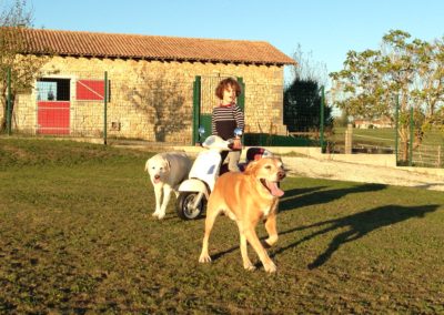 Hôtel Canin - Pension Canine de Julie Chillac Charente