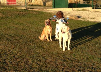 Hôtel Canin - Pension Canine de Julie Chillac Charente